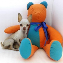 CHIHUAHUEÑO – BLANQUITA – HEMBRA